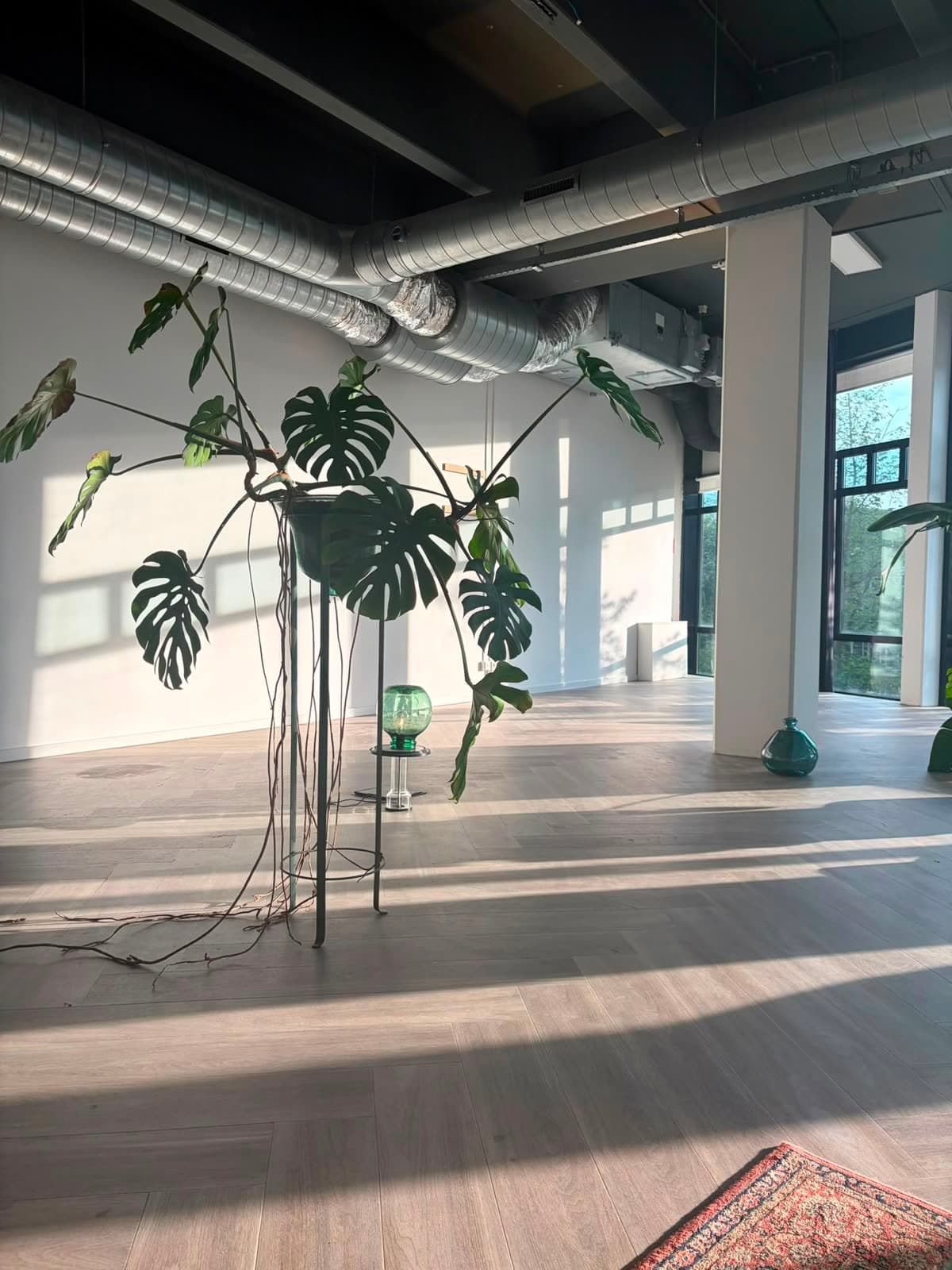 Green Corner at Studio Spui